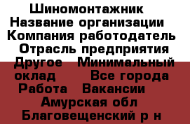 Шиномонтажник › Название организации ­ Компания-работодатель › Отрасль предприятия ­ Другое › Минимальный оклад ­ 1 - Все города Работа » Вакансии   . Амурская обл.,Благовещенский р-н